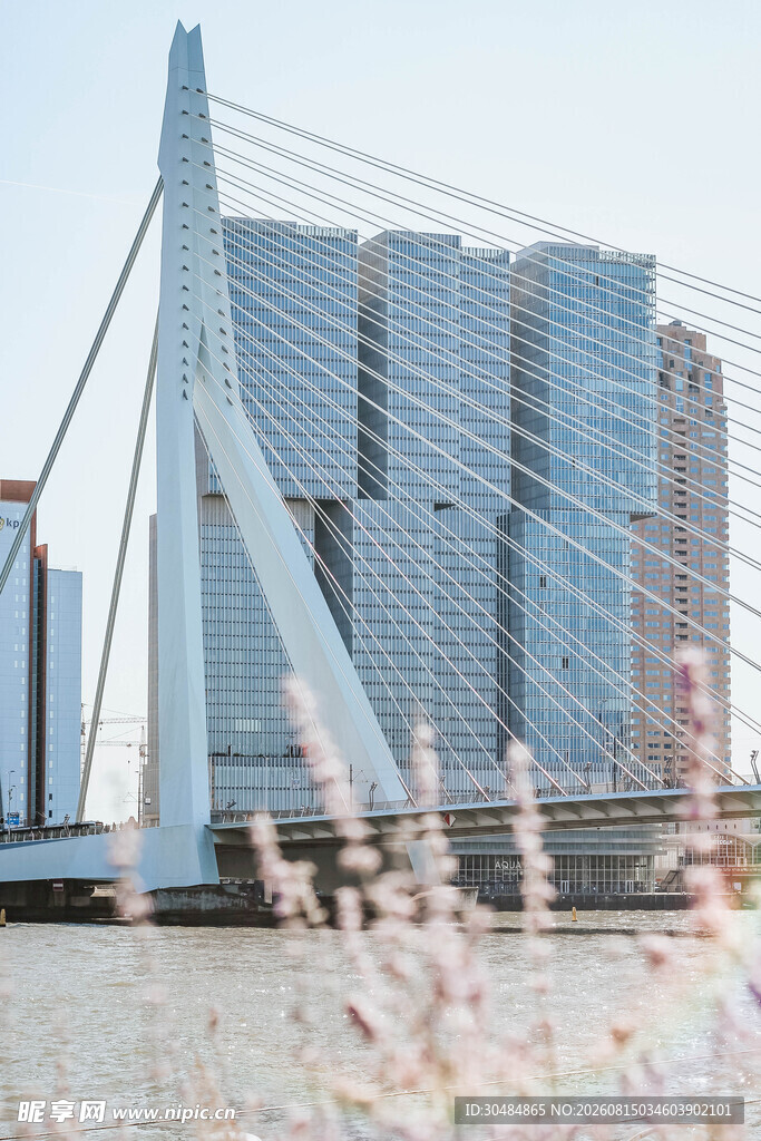 现代桥梁与高楼建筑景观