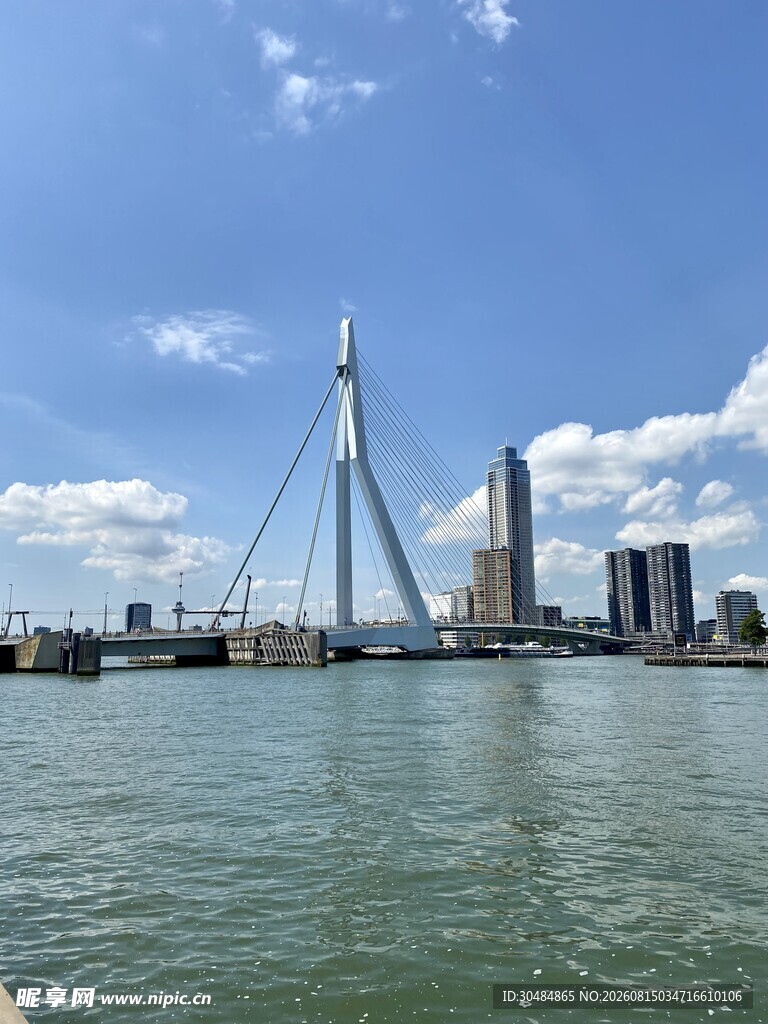 鹿特丹伊拉斯谟斯大桥风景