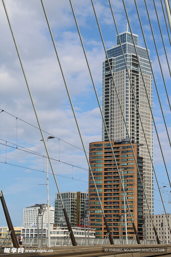 城市中高耸的现代建筑景观