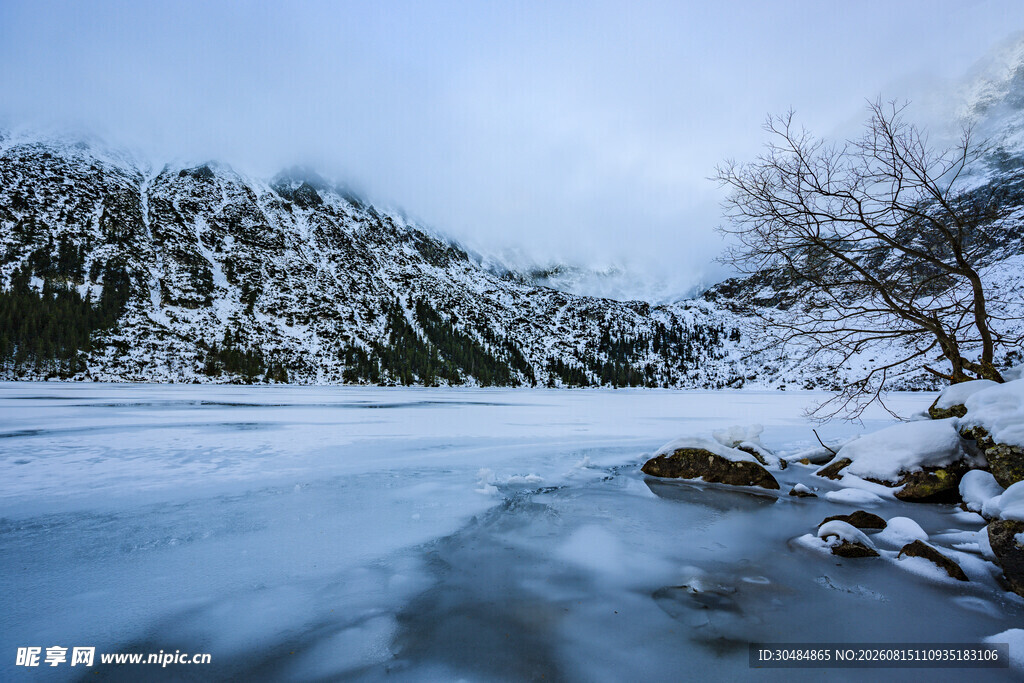 冬日冰封河岸雪景