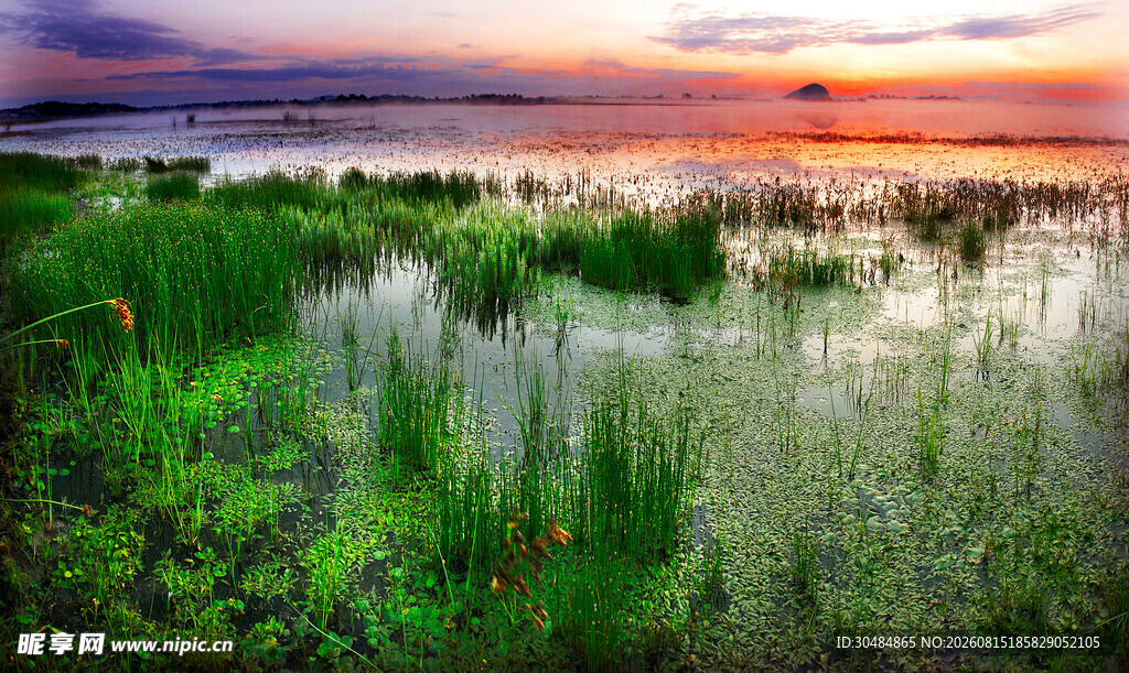 夕阳下的草地美景