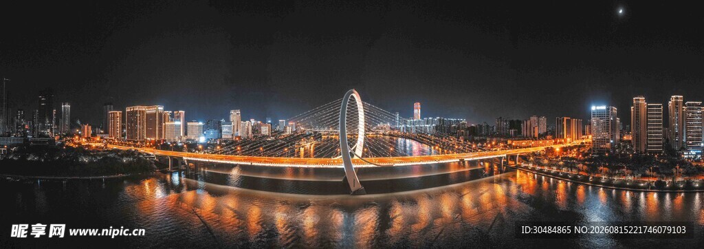广西柳州白沙大桥夜景全景