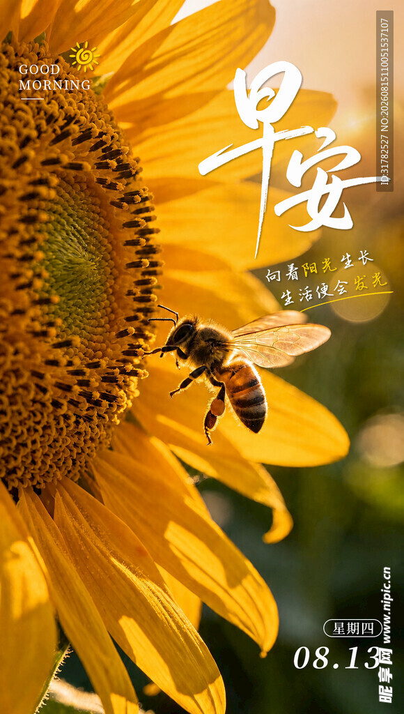 早安海报