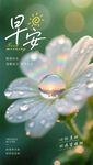 早安海报