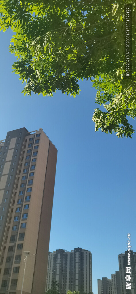 高楼大厦