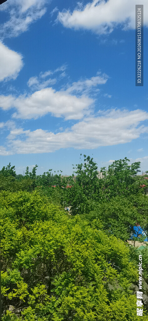 蓝天绿树