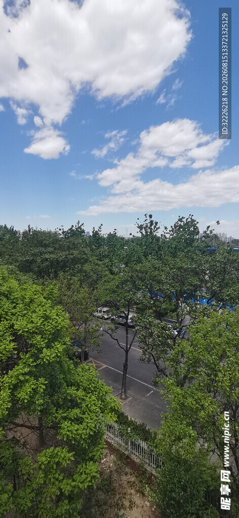 蓝天绿树