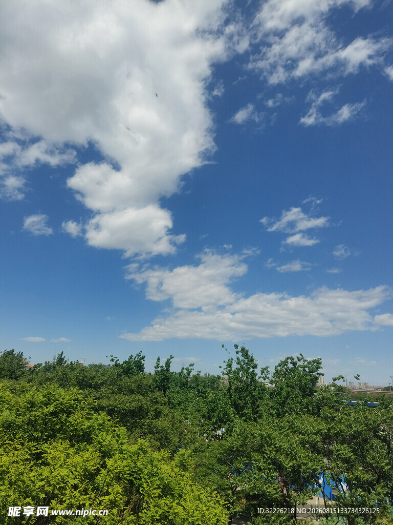 蓝天绿树
