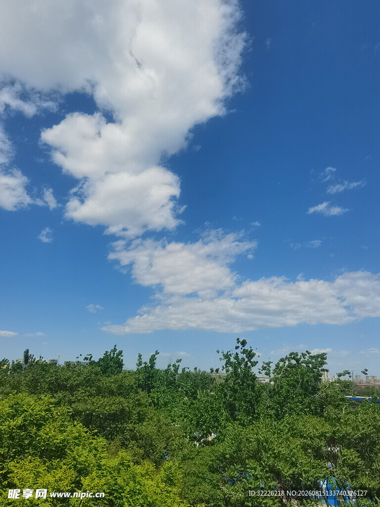 蓝天绿树
