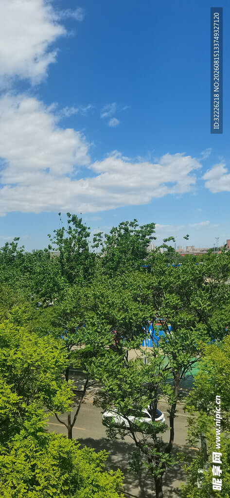 绿树蓝天
