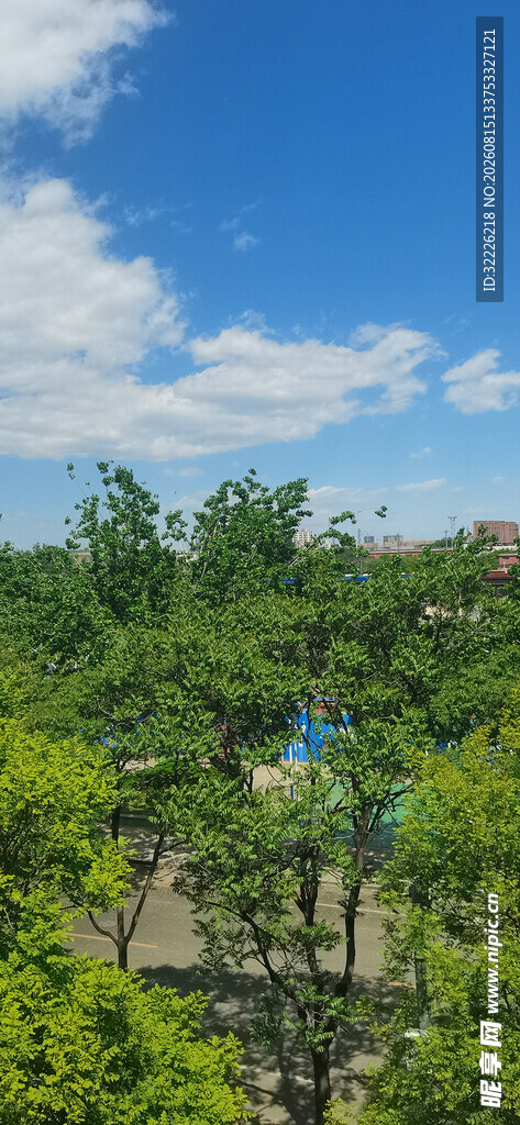 绿树蓝天
