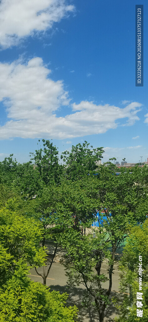蓝天绿树