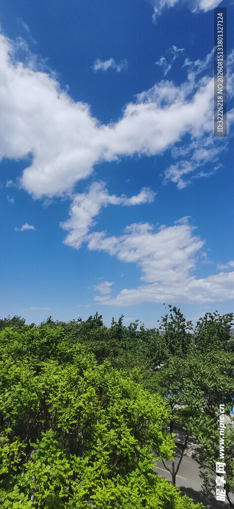 蓝天绿树