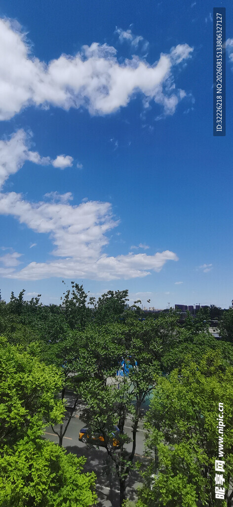 蓝天绿树