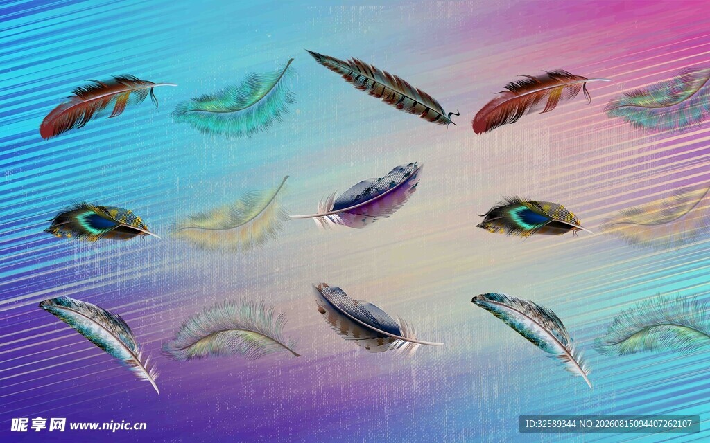 梦幻多彩羽毛排列画面