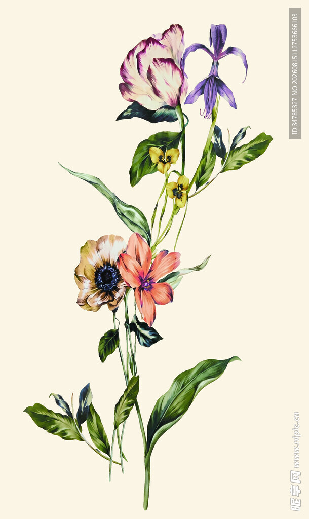 手绘多彩花卉插画