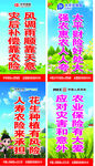 农业保险宣传语