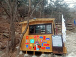 山林中的彩色小木屋
