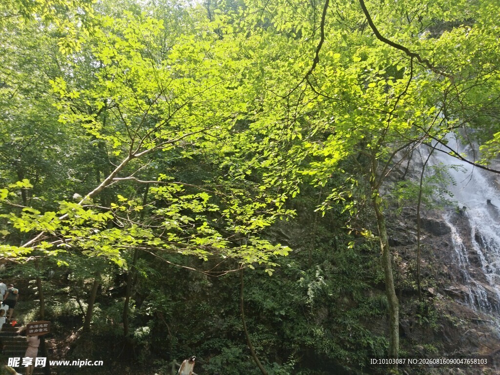山林间的翠绿瀑布景观