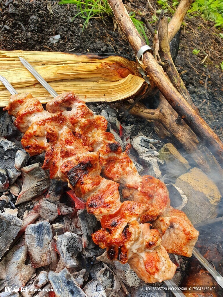 户外炭火烤肉串