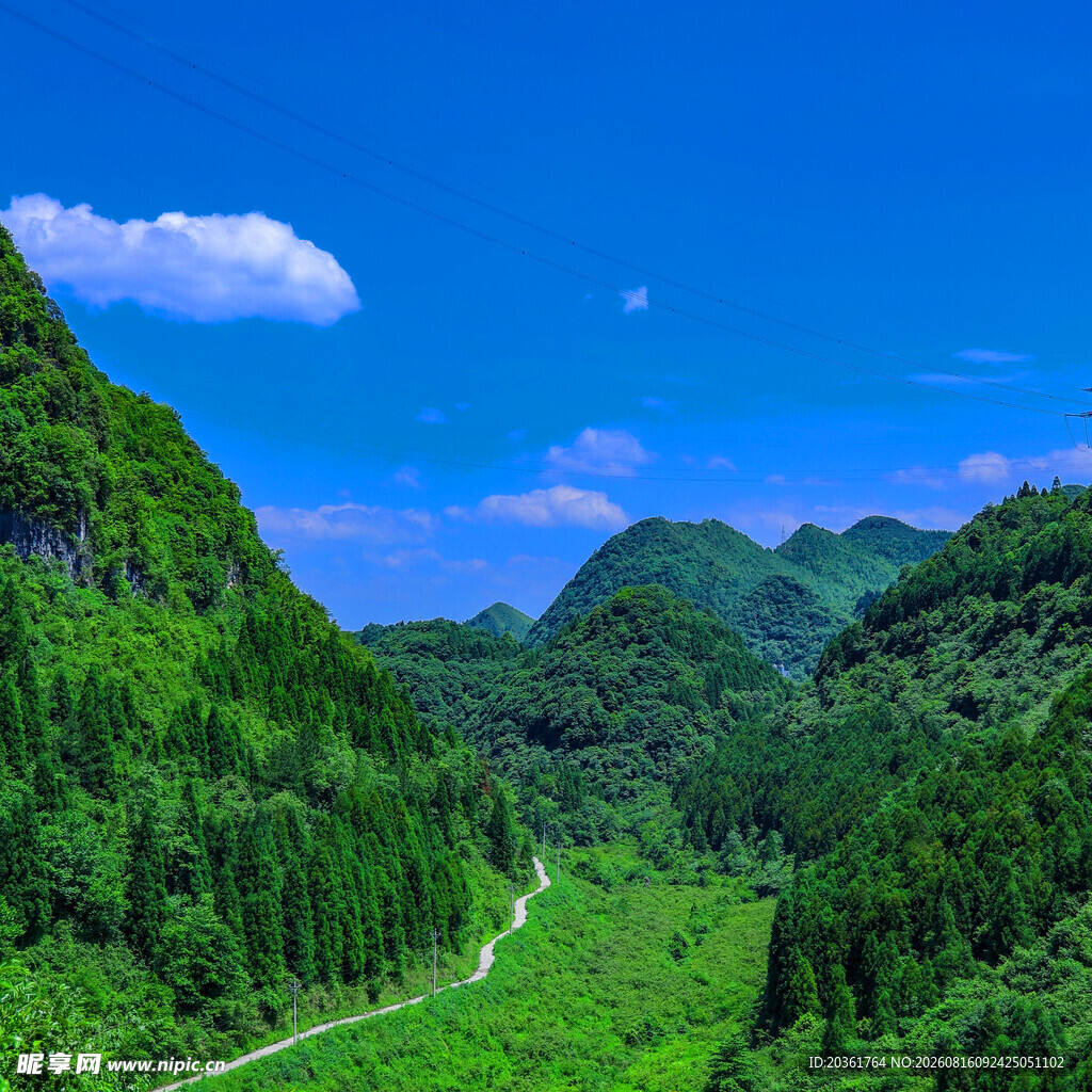 山间绿野美景