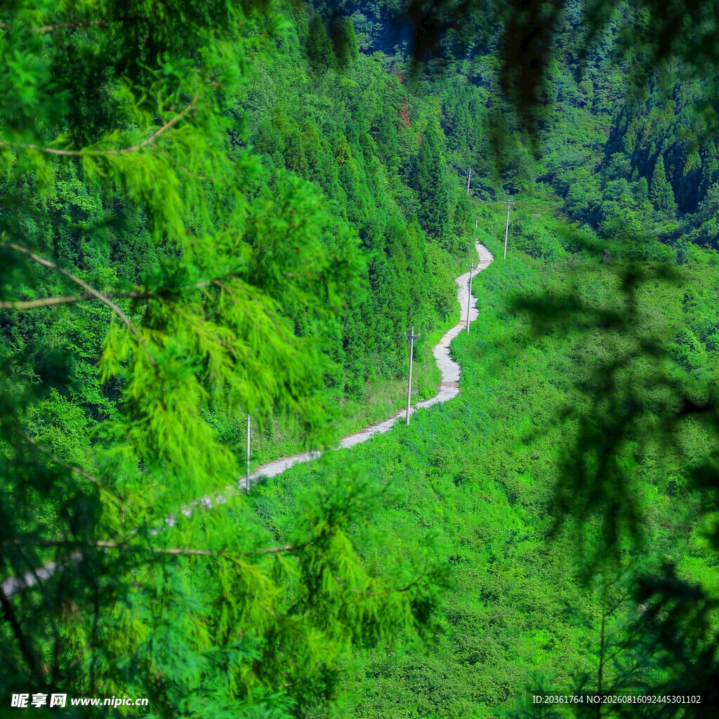 山间绿野中的蜿蜒小路