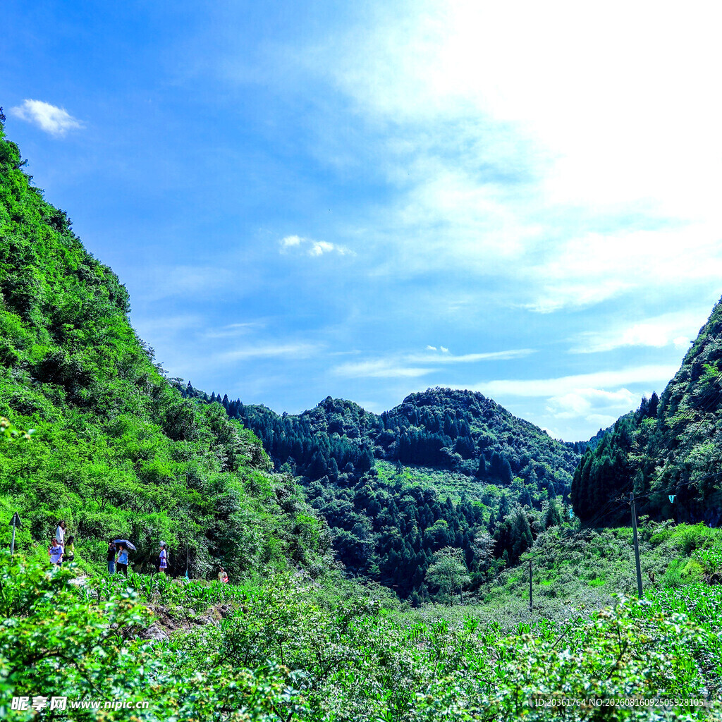 山间绿野风光