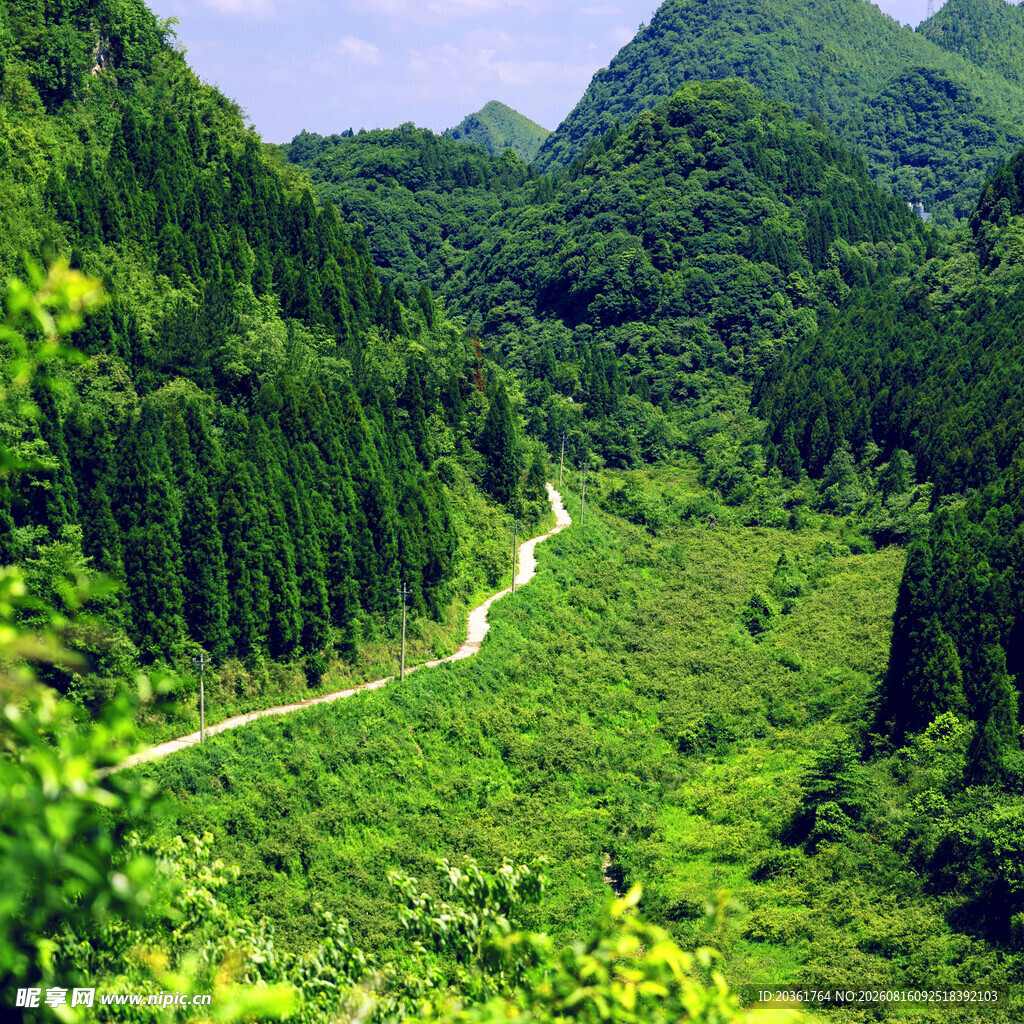 山间绿野小径