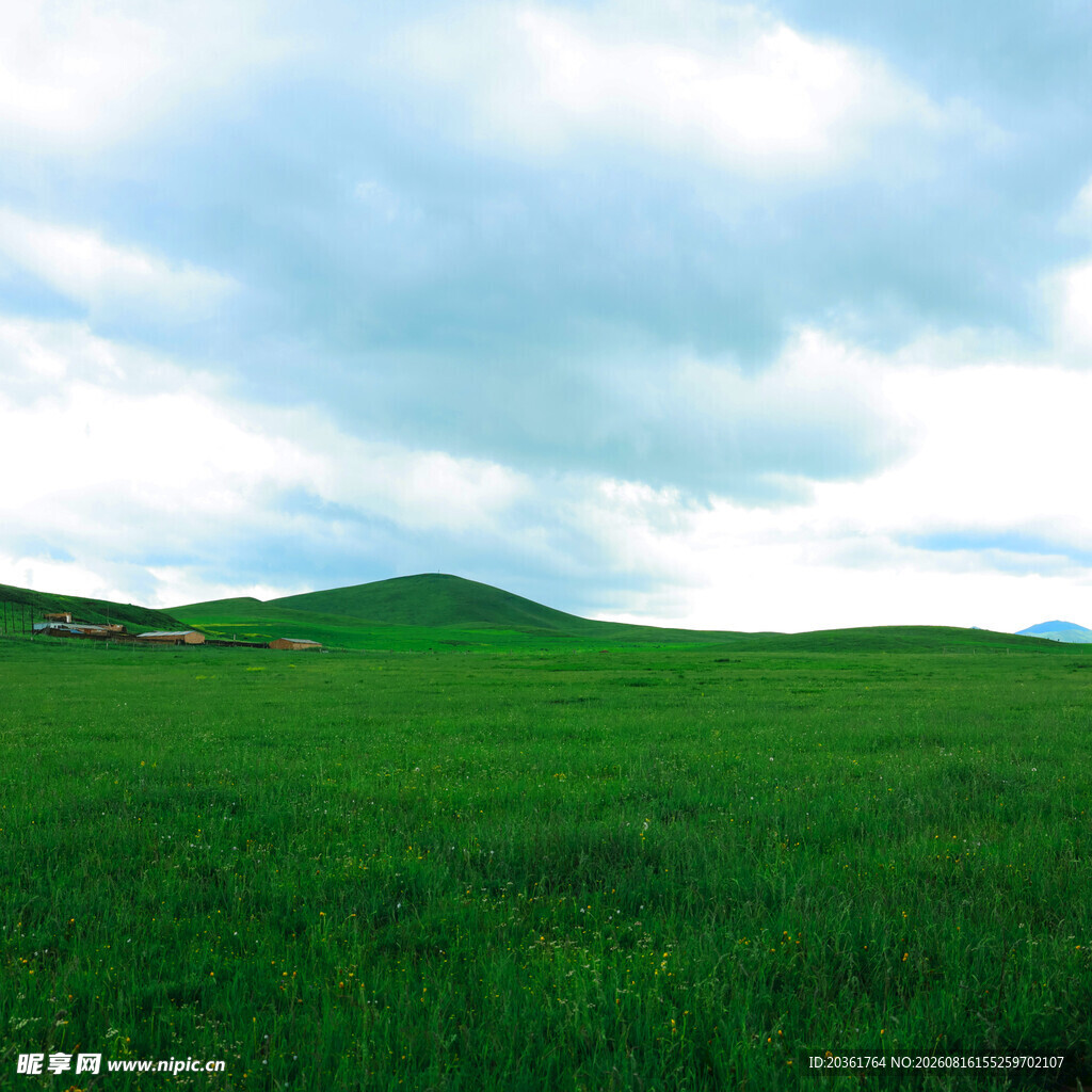 广袤绿野