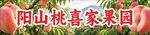 阳山桃喜家果园门头招牌横幅