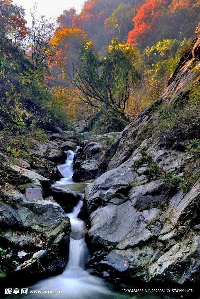 山间溪流秋色美景