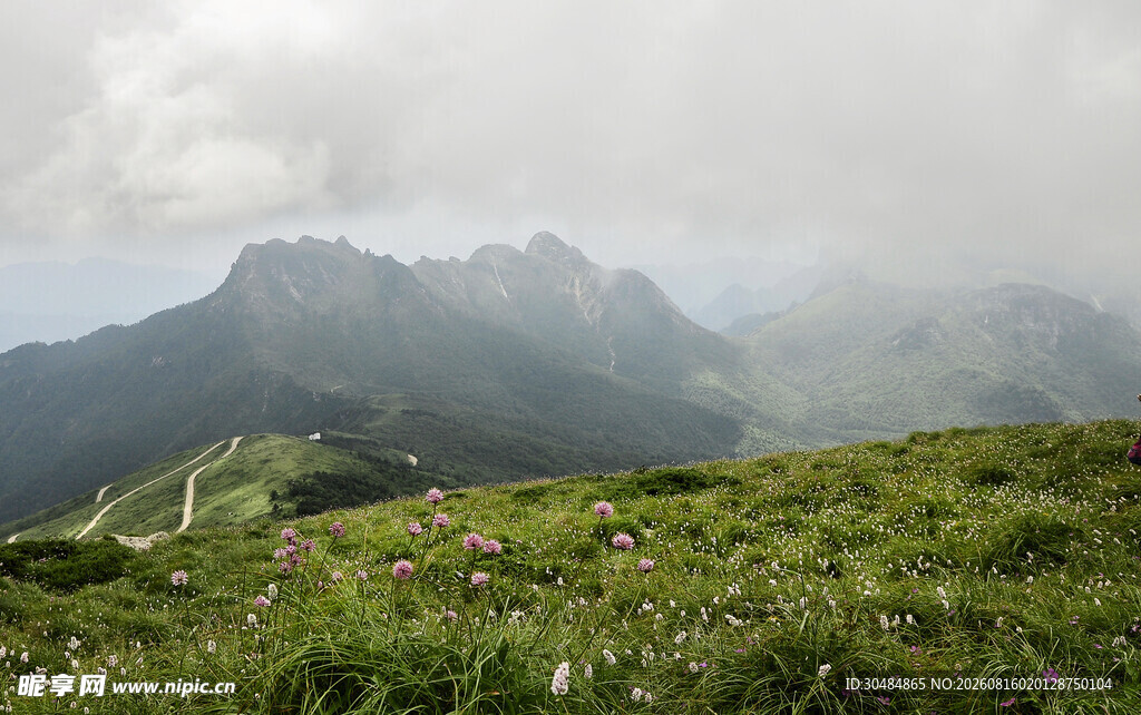 山间绿野