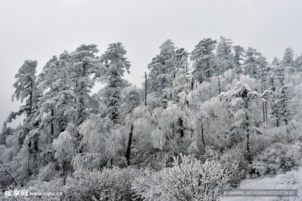 雪覆山林美景