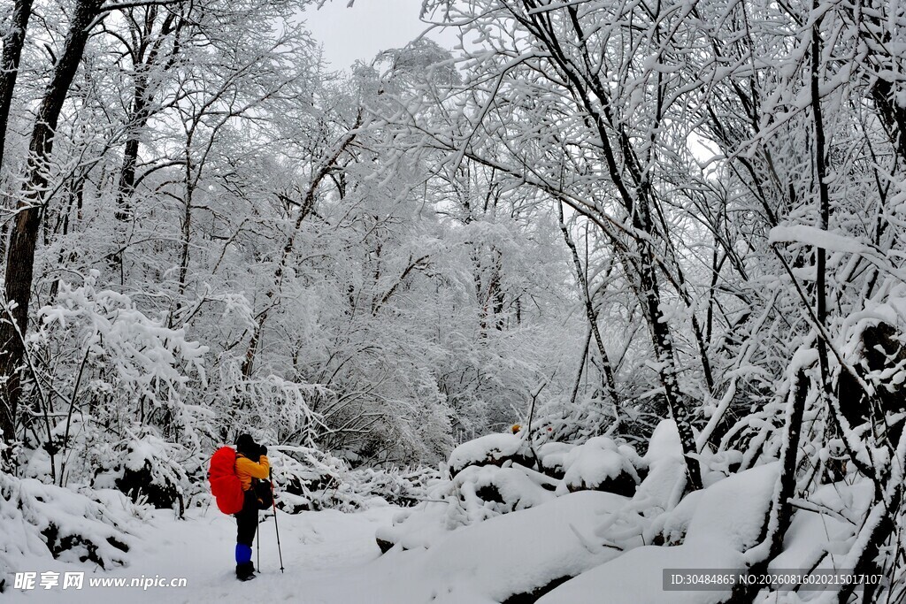 雪地中红衣人漫步山林