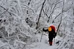 雪地徒步者穿行于雪林间