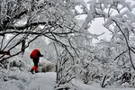雪地中独行的红衣徒步者