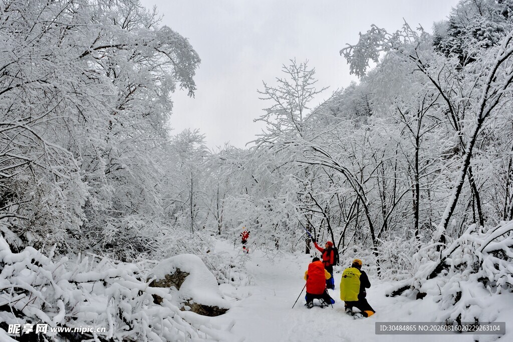 雪林徒步的欢乐人群