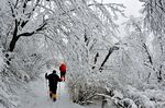 雪林漫步的两人