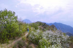 山间漫步赏景