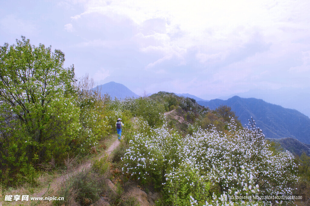 山间漫步赏景