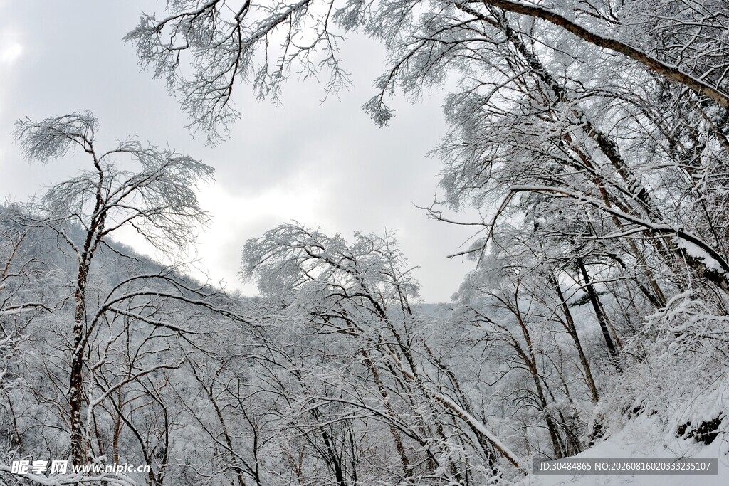 雪覆山林美景