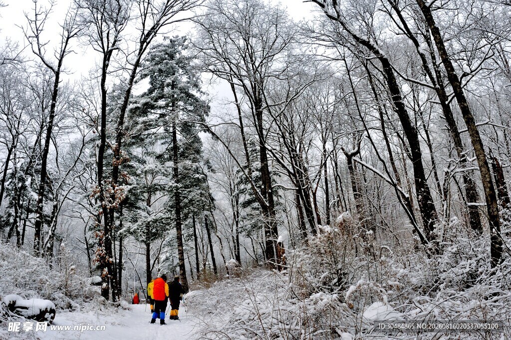 雪地林间的徒步者