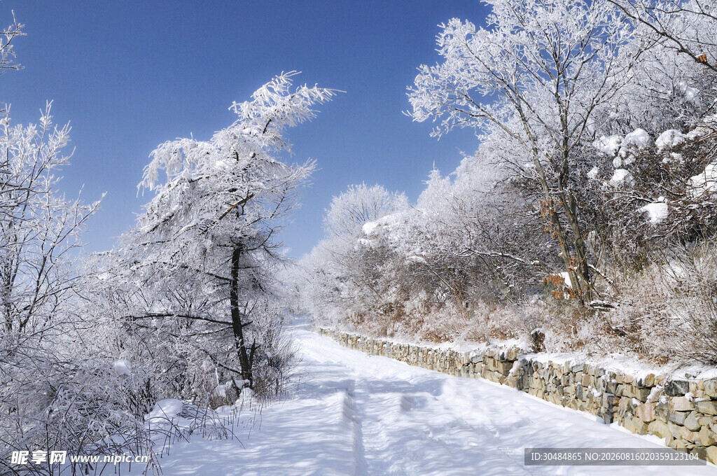 冬日雪覆小路