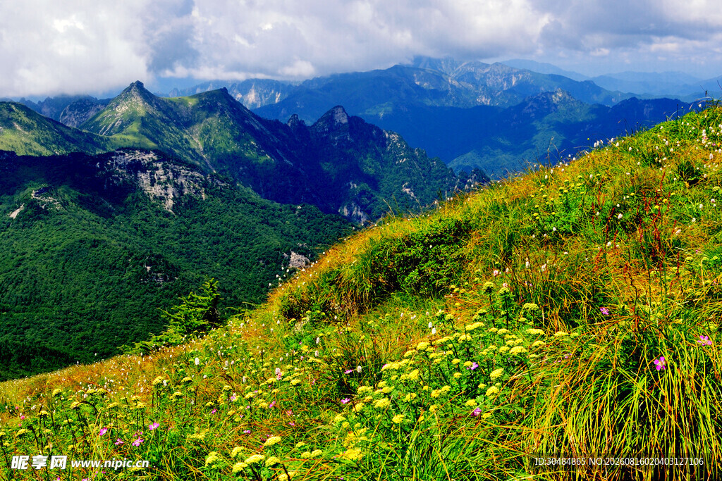 山间绿野美景