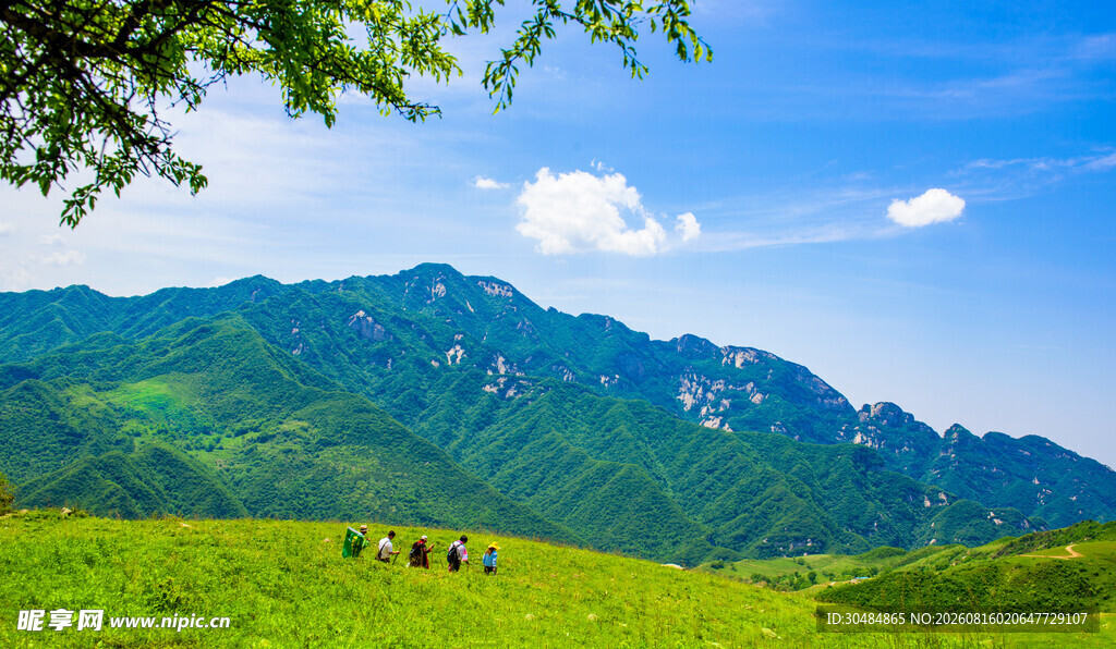 青山绿野间的悠然景致