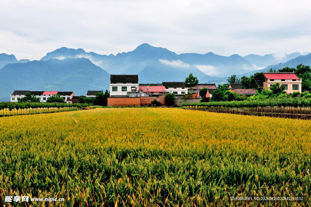田园乡村美景