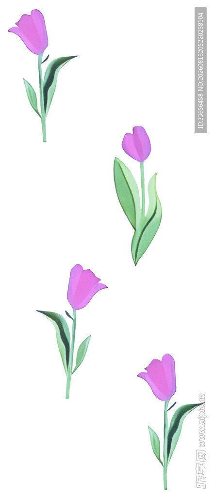 手绘紫色郁金香花卉图案