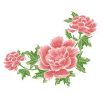 粉色牡丹花卉图案
