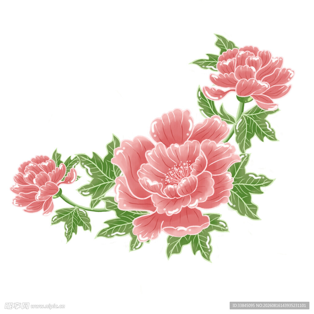粉色牡丹花卉图案