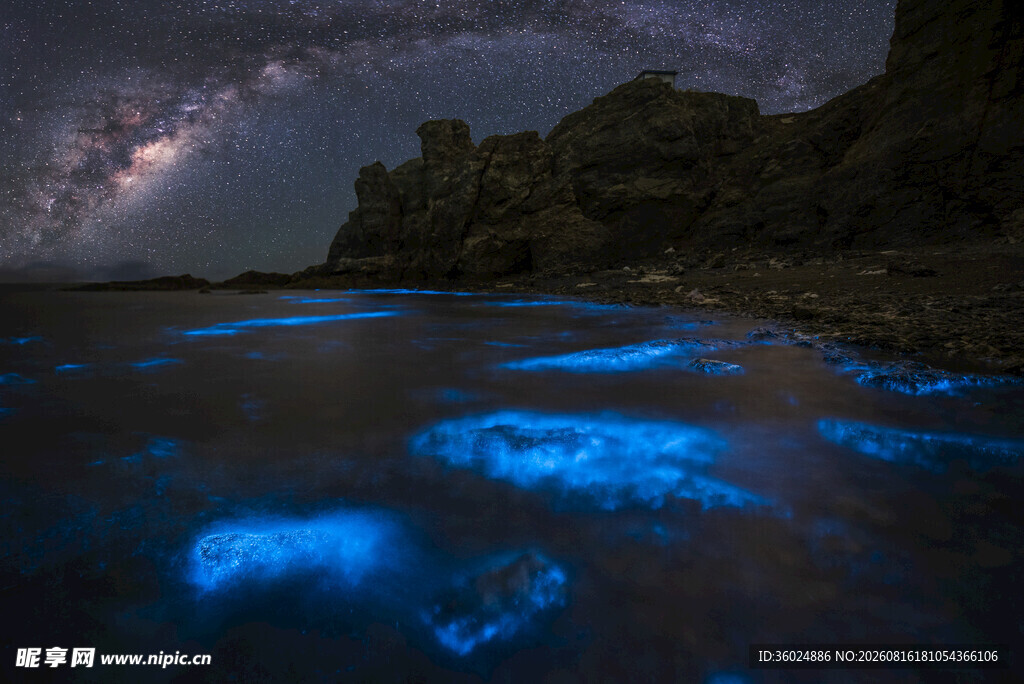 夜空下的蓝眼泪奇幻海景